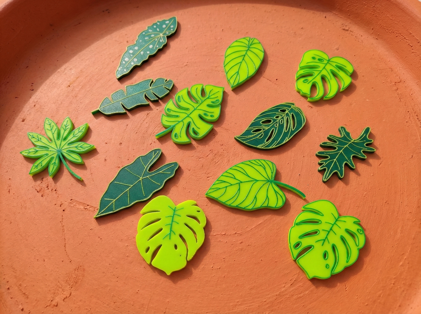leaf fridge magnets – tropical plant magnet set (12 pack) leaf fridge magnets – tropical plant magnet set (12 pack)